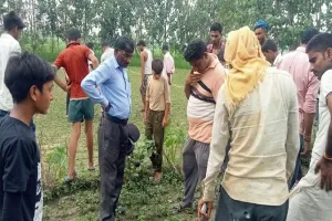 संभल: पैगारफातपुर में जंगली जानवर ने किसान पर किया हमला, कई दिनों से आसपास के गांवों में तेंदुआ होने का शोर...लोगों में दहशत