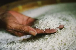 रामपुर: किसानों से राइस मिलर बोला- मैं किसी के कोई रुपए नहीं दूंगा जो करना है कर लेना