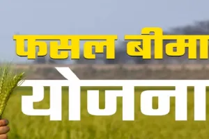 मुरादाबाद : अब 10 अगस्त तक ले सकेंगे बीमा योजना का लाभ 