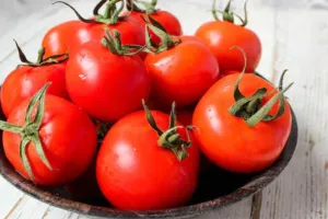 Tomato: ये टमाटर हैं बेहद खास, 45 दिनों तक नहीं होते खराब, जानें वजह