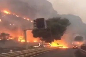 इटली के सार्डिनिया द्वीप पर 50 से अधिक जंगल में लगी आग, चार लोग घायल