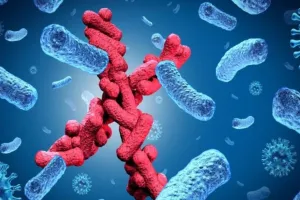 दुनियाभर में तबाही मचा सकती ये खतरनाक महामारी! WHO ने जारी किया अलर्ट 