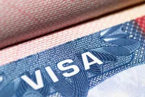 Bareilly: विदेश भेजने के लिए फर्जी वीजा बनाया, दो पर रिपोर्ट