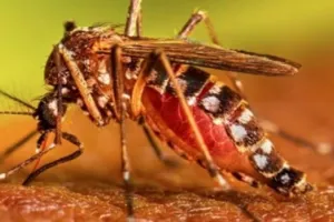 लखनऊ : संचारी रोग नियंत्रण और दस्तक अभियान की रोज होगी निगरानी, लापरवाह कर्मचारियों पर गिरेगी गाज 