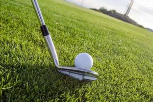 16 से 19 अगस्त के बीच होने वाली प्रो गोल्फ चैंपियनशिप में भाग लेंगे एशिया के चोटी के खिलाड़ी