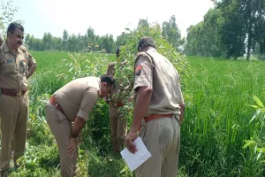 हारदोई: खेत की मेढ़ पर मिला पूर्व प्रधान का शव, परिजनों ने जताई हत्या की आशंका