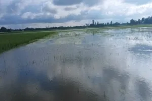 अयोध्या : तमसा के बढ़े जलस्तर में समाई सैकड़ों एकड़ की फसल, बनाया जा रहा है रपटा पुल