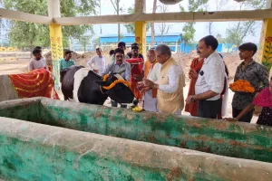 बरेली: वन मंत्री ने नंदौसी गौशाला में किया पूजन, गौ माता को खिलाया गुड़