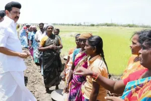 चेन्नई: परिवार की महिला मुखियाओं को एक हजार रु प्रति माह योजना शुरू करने तैयारियां पूरी