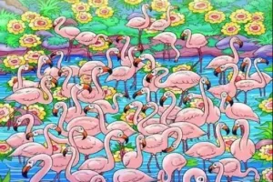 दिमाग का हो जाएगा दही! तस्वीर में ढूंढकर तो दिखाओ 'लड़की'...वरना डॉक्टर से चेक कराओ आंखें