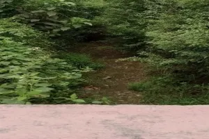 अयोध्या: 15 वर्षों से माइनर में टेल तक नहीं आया पानी, सिंचाई में परेशानी 