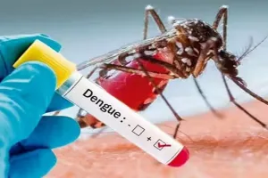 मुरादाबाद: डेंगू मरीजों को जरूरत पर नहीं मिल प्लेटलेट्स, निजी का सहारा... भटक रहे तीमारदार