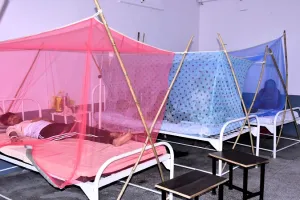 मुरादाबाद: खुद संभाल नहीं पा रहे डेंगू संक्रमण, तापमान कम होने का इंतजार