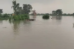 शाहजहांपुर: प्रशासनिक सर्वे में सिर्फ 4.50 लाख की फसलें बाढ़ से तबाह