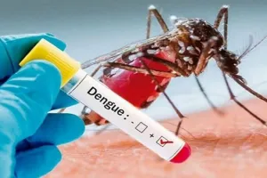 जिले में तेजी से पांव पसार रहा डेंगू, रामपुर के एक ही गांव में मिले चार मरीज