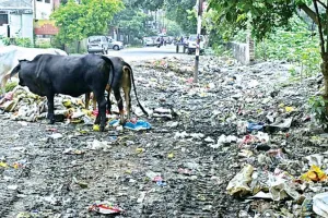 Amrit Vichar Investigation: शारदा नगर में टूटी सड़कें और नलों से गंदा पानी, जगह-जगह लगे गंदगी के ढेर, मोहल्लेवासी परेशान