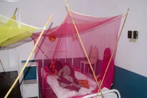 मुरादाबाद : बुखार के रोगियों की संख्या के आगे बौने साबित हो रहे इंतजाम