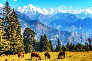 पिथौरागढ़: यह गांव बन गया देश का श्रेष्ठ पर्यटन गांव, 27 सितंबर को होगी आधिकारिक तौर पर घोषणा