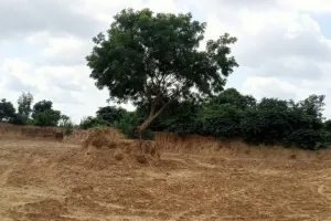 जिम्मेदारों... यह देखो चल रही है मिट्टी की खोदाई 