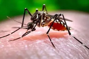 बरेली: जिले में बढ़ रहे मलेरिया और डेंगू के मरीज, जिला अस्पताल में बढ़ाए गए बेड 