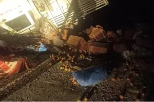 देहरादून: चकराता से निकला सेब से भरा वाहन अनियंत्रित होकर खाई में गिरा 