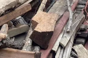 खोजो तो जानें: अपनी स्मार्टनेस का करें टेस्ट, इस फोटो में छिपी बिल्ली को 5 सेकंड में खोजिए  