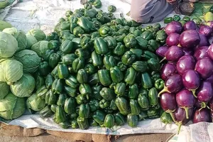 बरेली: राहत...शतक लगाने वाली सब्जियों के दाम 50 से भी नीचे