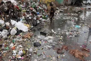 गरमपानी: खैरना में बजबजा रही गंदगी से संक्रामक बिमारी फैलने का खतरा