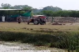 अमेठी में मृत गाय को ट्रैक्टर से बांधकर घसीटा, वीडियो वायरल