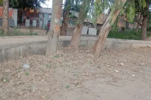 Chitrakoot: ... तो विभागीय खींचतान की वजह से बन गया बेतरतीब नाला,  एनओसी का चक्कर, जहां मिली जगह वहीं से बना डाला  