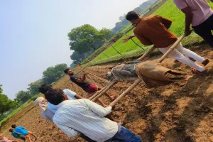 मीरजापुर: धान के खेत में पहुंचा मगरमच्छ, वन विभाग ने किया रेस्क्यू