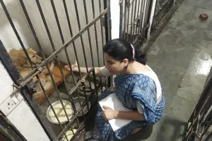 नैनीताल: जिन कुत्तों को नगर पालिका बता रही खूंखार निरीक्षण के दौरान वो मिले शांत 