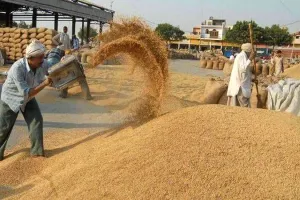 रुद्रपुर: आरएफसी से वार्ता के बाद राइस मिलर्स धान खरीदने को हुए तैयार