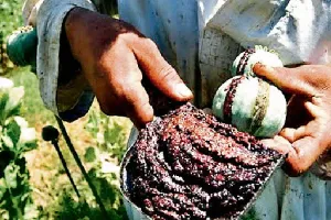 रुद्रपुर: तीन किलो अफीम के साथ दो सौदागर गिरफ्तार, लग्जरी कार से करते थे सप्लाई