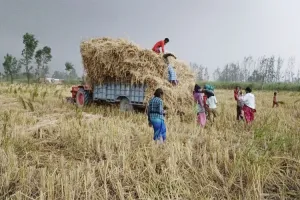 बहराइच में अचानक बदला मौसम, धूल भरी आंधी के साथ शुरू हुई बारिश, किसानों को हुआ भारी नुकसान