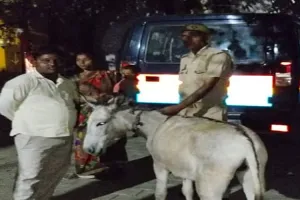आगरा के पिनाहट थाने में आया गजब का मामला, दो गधों को लेकर घंटों चली बहस, लगी चौपाल, यह है मामला