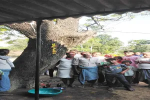 बाराबंकी: काम पर निकले राजगीर का पेड़ से लटकता मिला शव, हत्या की आशंका, हड़कंप