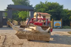 कासगंज: सोरों की गोशाला में तीन गोवंशों की मौत, अमानवीयता का वीडियो वायरल