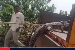 कर्नाटक में बिजली कटने से परेशान किसान विद्युत कार्यालय में मगरमच्छ लेकर पहुंचे 