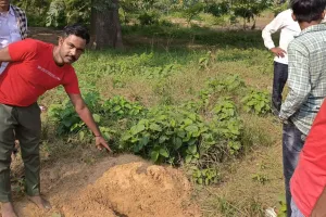 संभल: नवजात बच्ची की कब्र खोदते युवक गिरफ्तार