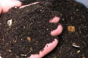 Mahoba News: खाद की किल्लत से नाराज किसानों ने प्रदर्शन कर जताया विरोध, डीएम को ज्ञापन सौंप ये मांग रखी