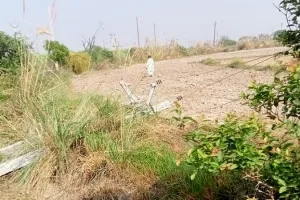 संभल: खेत की जुताई करते समय करंट से झुलसे दो किसान, हालत गंभीर