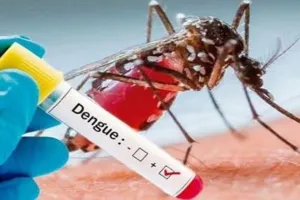 डेंगू की चुनौती 
