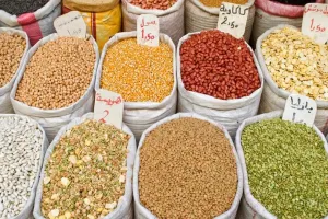 मुरादाबाद : मोटे अनाज को लेकर किसानों को किया जा रहा जागरूक, 495 लोगों को दी गई मिनी किट