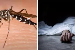 अमरोहा: बुखार से बच्चे समेत दो की मौत, मिले डेंगू के 13 मरीज 