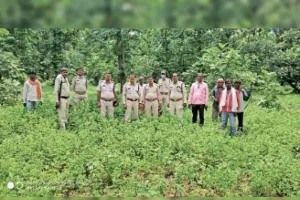 हल्द्वानी: जंगलात से 1,074 आउटसोर्स, पीआरडी, उपनल कर्मियों की जाएगी नौकरी