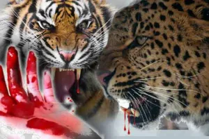 हल्द्वानी: मानव वन्यजीव संघर्ष : कब थमेगी यह जंग