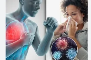 रुद्रपुर: जिले में निमोनिया और इन्फ्लूएंजा फ्लू को लेकर स्वास्थ्य विभाग अलर्ट