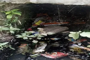 अयोध्या: पूरा की 54 ग्राम पंचायतों में अब तक मिले 29 डेंगू मरीज