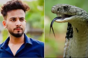 एल्विश यादव मामले पर यूपी के वन मंत्री ने कहा- कोई हस्ती कानून से ऊपर नहीं 